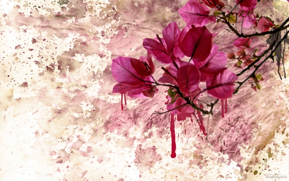 Pink_Cashmere___by_cocacolagirlie_flores rosas líquidas_abstracción floral rosa_buganbilla_pintura